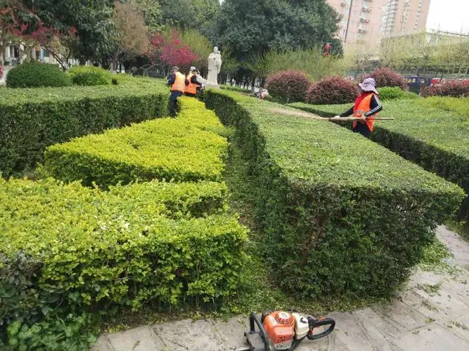 西藏地区园林绿化工程