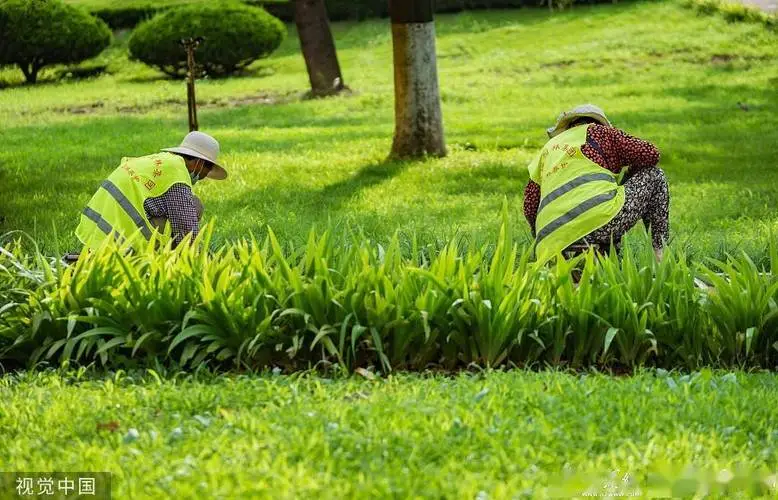 室外景观绿化工程方案