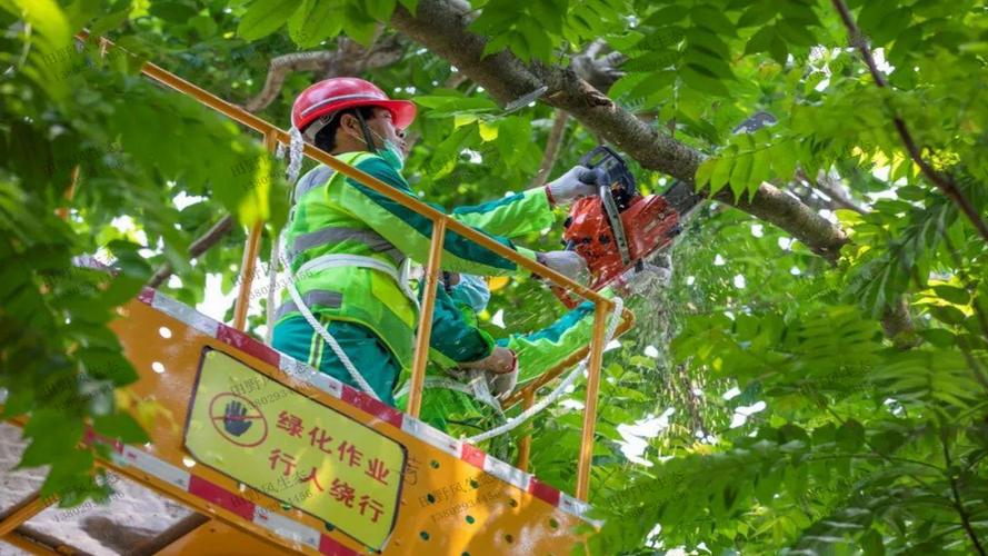 1000平园林景观设计